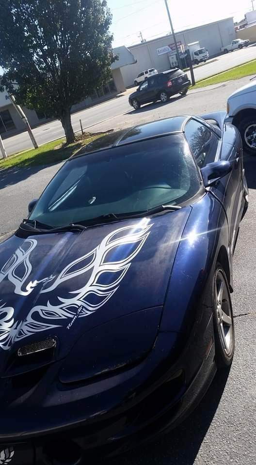 Harrys Glass Co Windshield and door glass photo 2