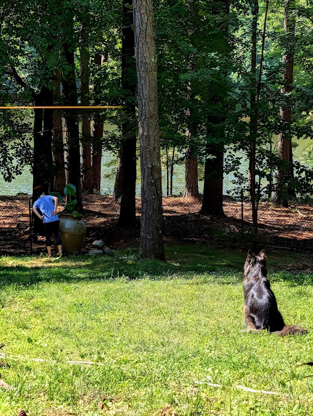 Hawk Fences LLC photo 2