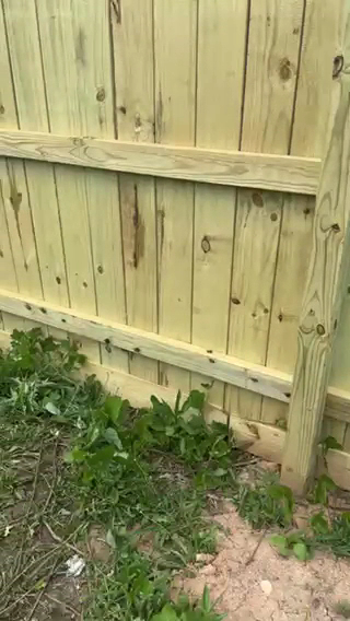 Hawk Fences LLC photo 3