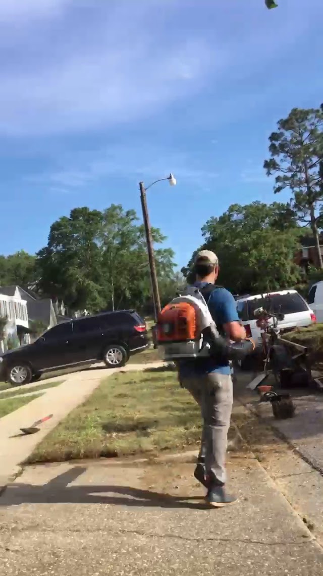 Haynes and Sons Lawn Care photo 3