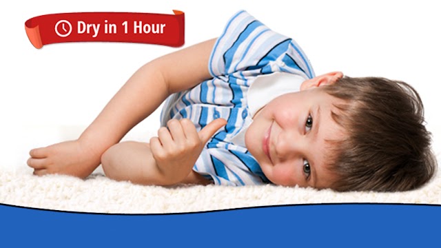 Heaven’s Best Carpet Cleaning Athens GA photo 1