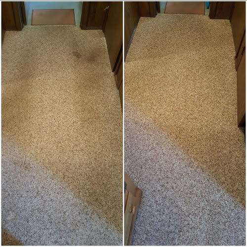 Heaven’s Best Carpet Cleaning Athens GA photo 3