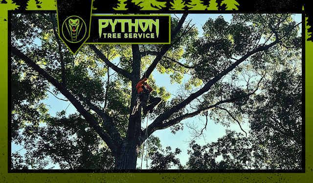 HEAVENS GATE TREE SERVICE photo 4
