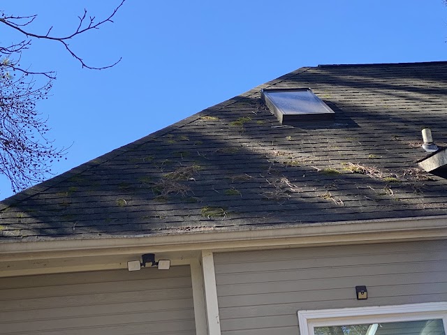 HelloGutters photo 2