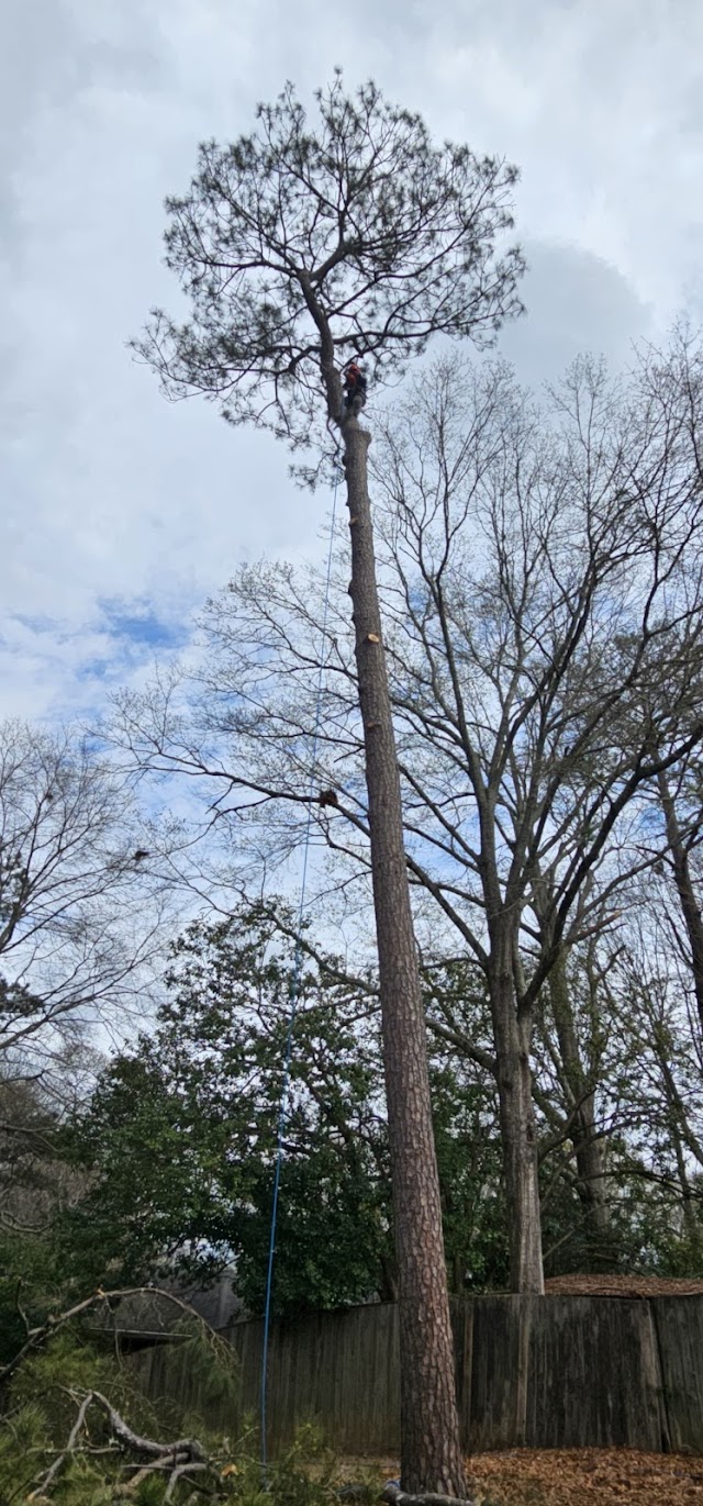 Hermanos Tree service LLC