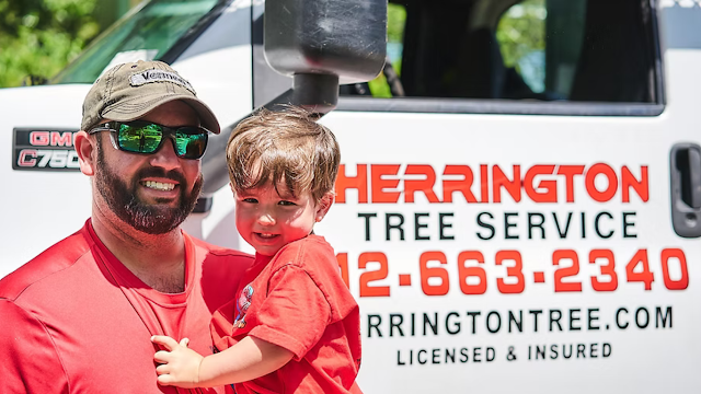 Herrington Tree Services