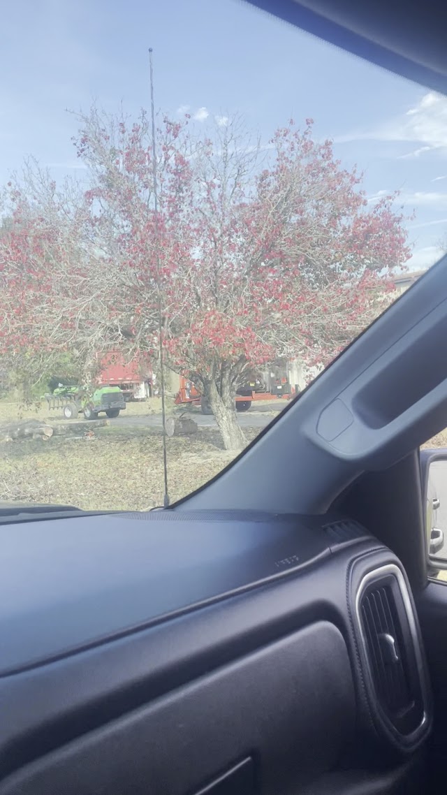Herrington Tree Services photo 3