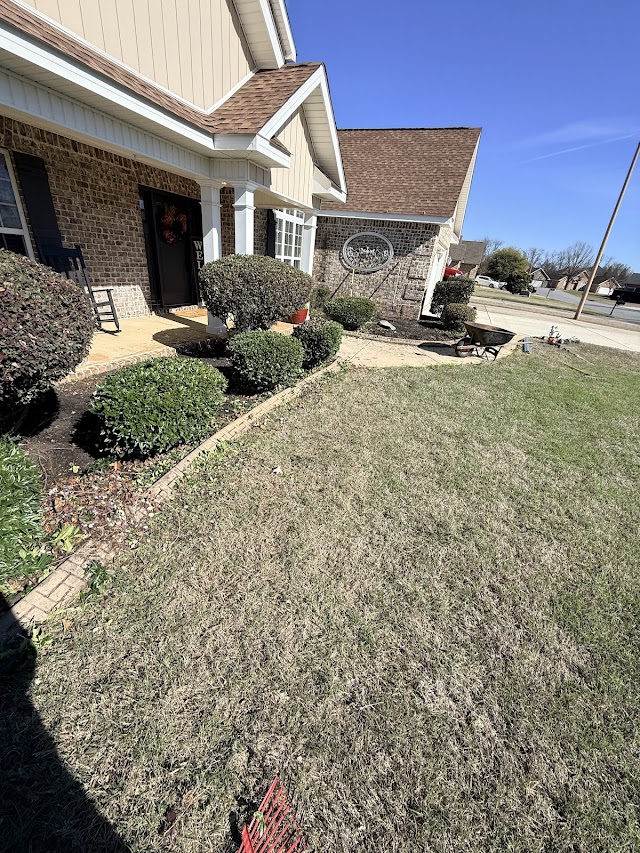 Hollywood Landscaping LLC photo 2