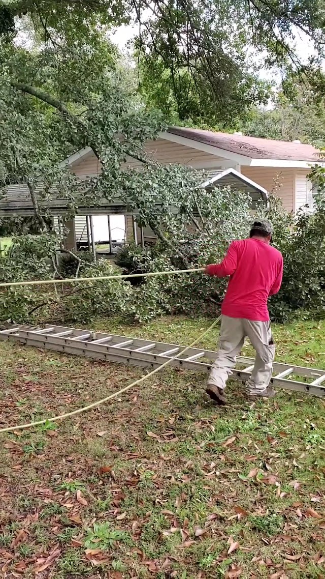 Hollywood Landscaping LLC photo 3