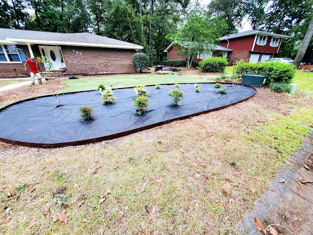 Hollywood Landscaping LLC photo 4