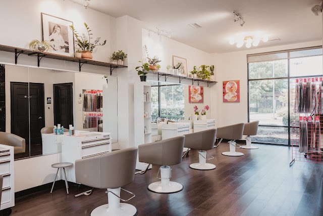 Hologram Salon