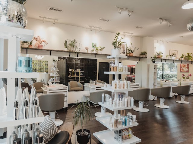 Hologram Salon photo 3