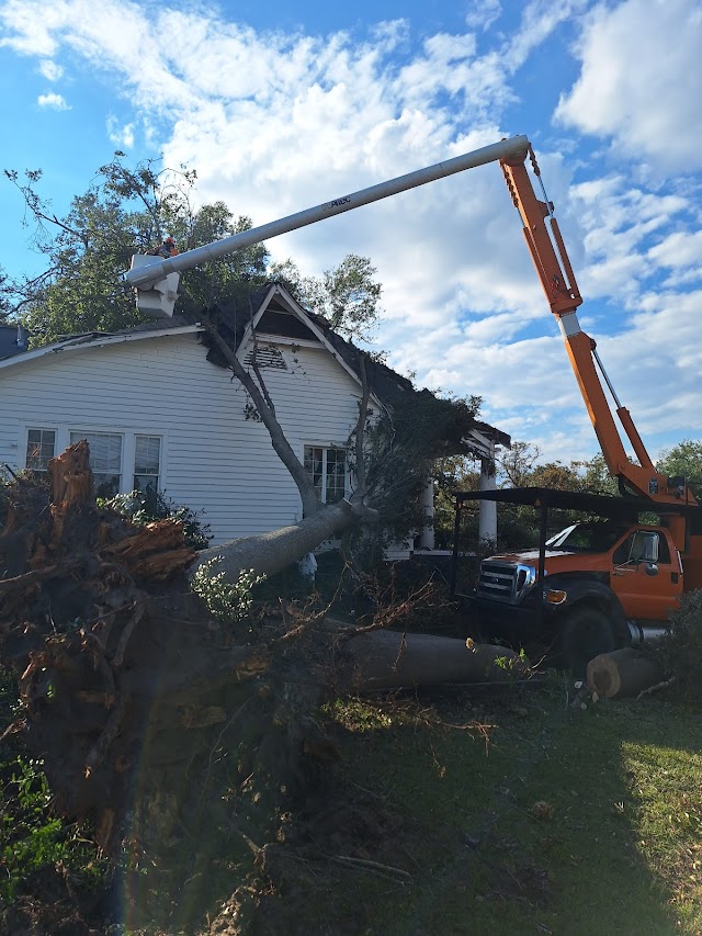Huntsville Tree Pro