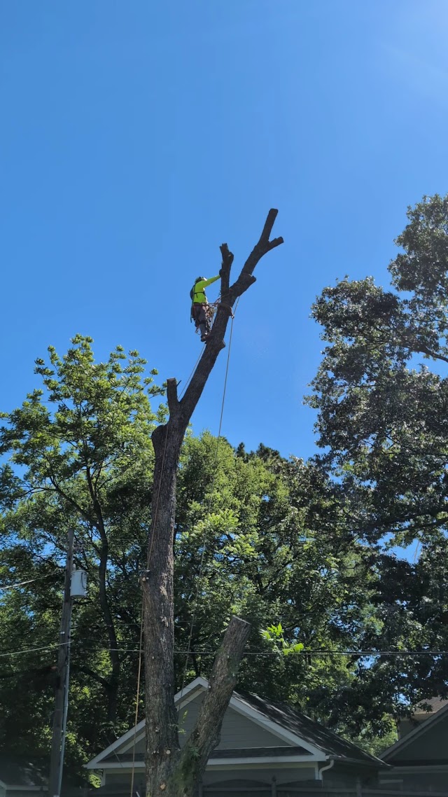 Huntsville Tree Pro photo 2
