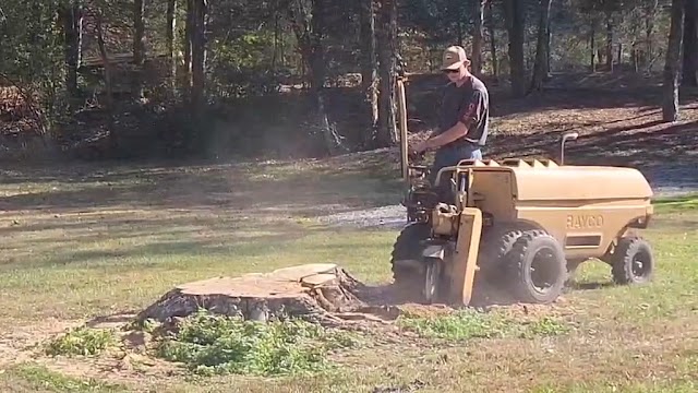 Huntsville Tree Pro photo 3
