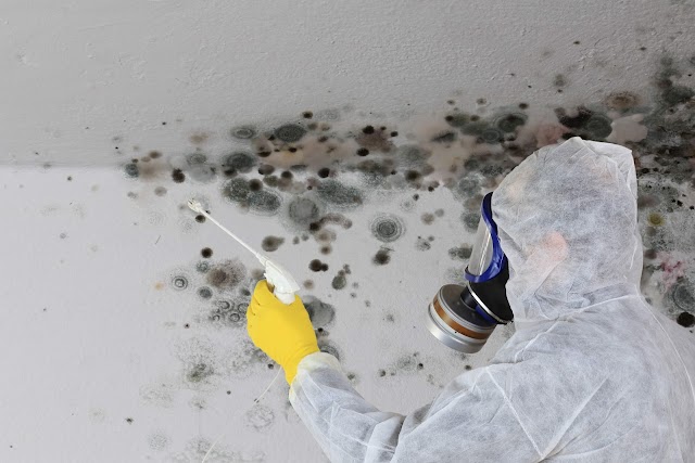 Indoor Environmental Solutions, LLC photo 4