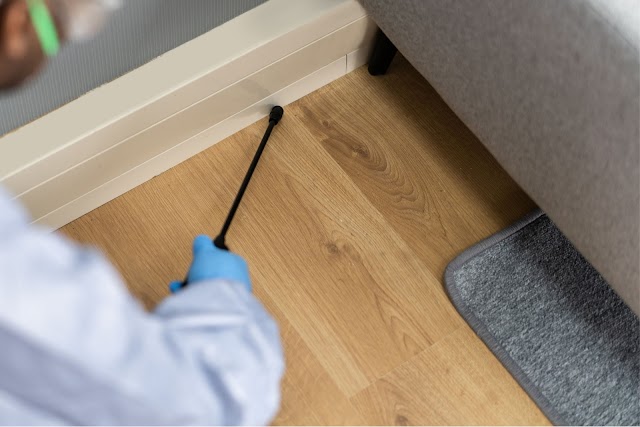 Insight Pest Solutions