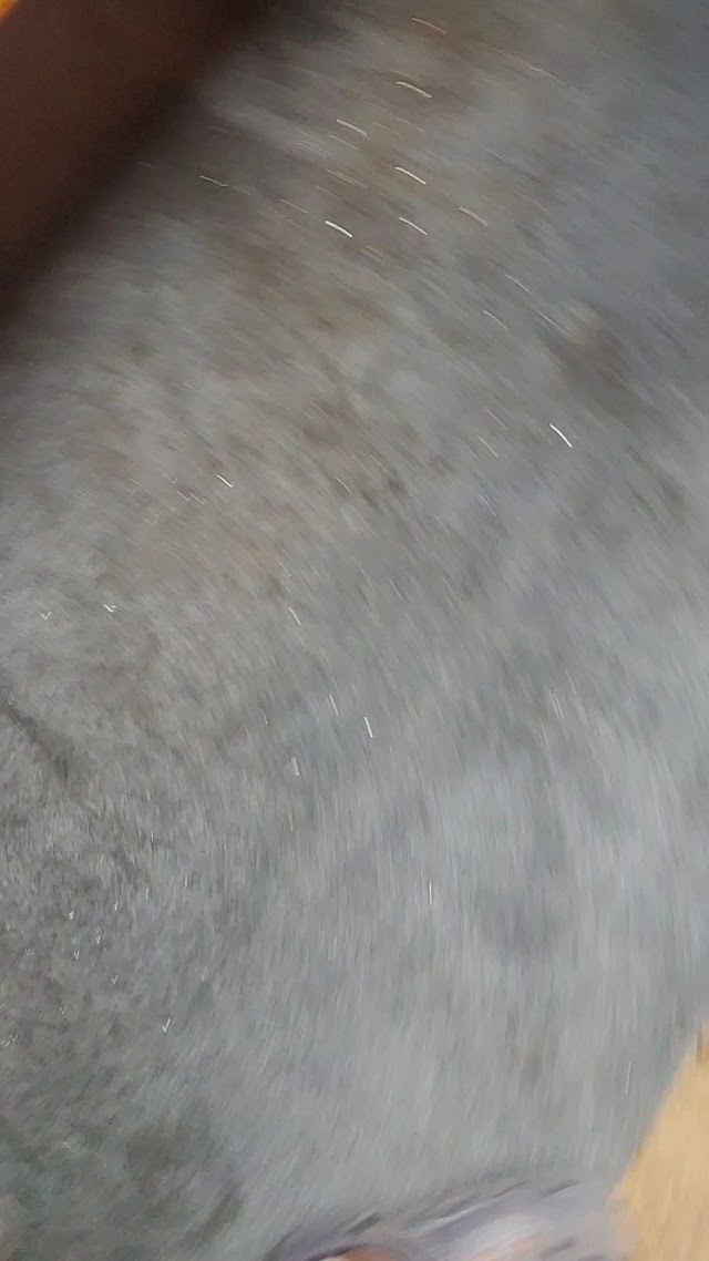 J&D Floor Care Cleaning Service LLC photo 3