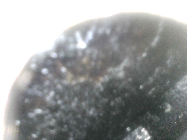 J hope RV Services LLC photo 3