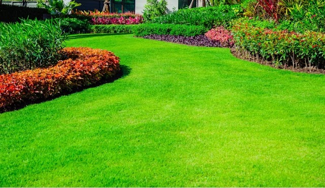 J&J Cleaning and Lawn Services, LLC photo 2
