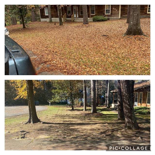 Jerrell Exterior Cleaning And Lawn Service