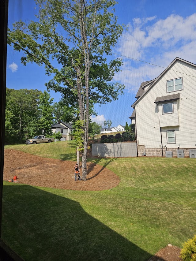 Jones Tree Service photo 1