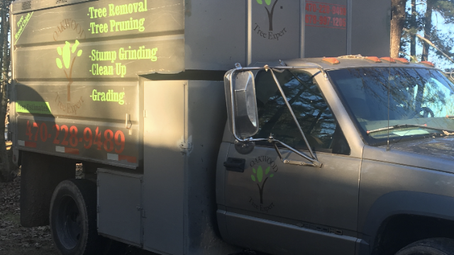 Jones Tree Service photo 3