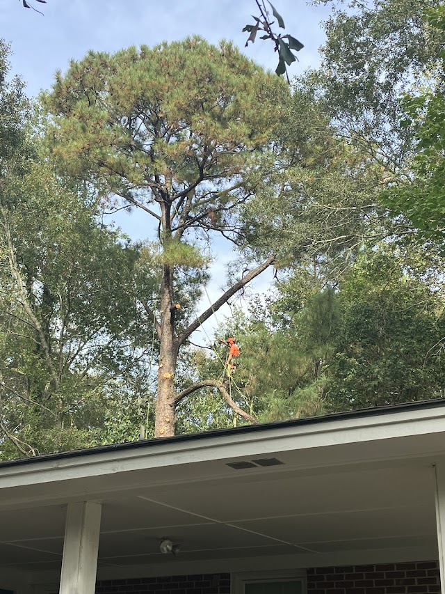 Jordan Tree Services LLC