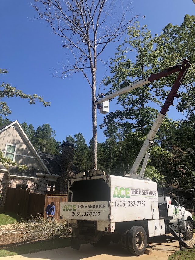 Jordan Tree Services LLC photo 2