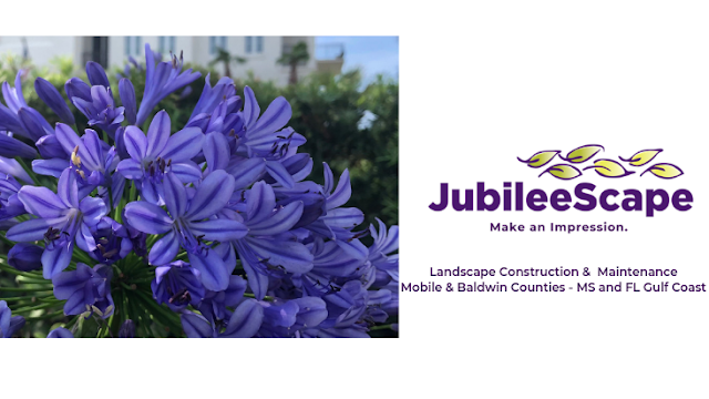 JubileeScape photo 1