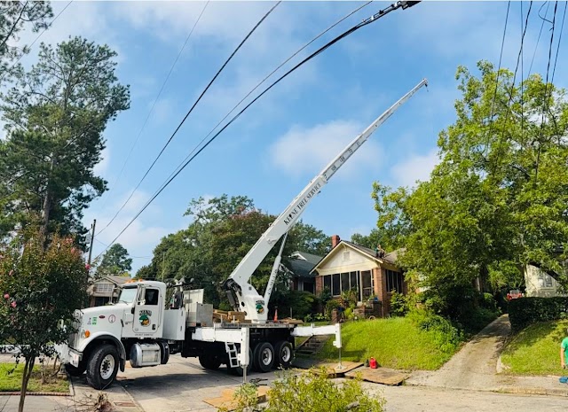 Keene Tree Service