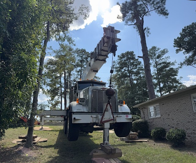 Keene Tree Service photo 2