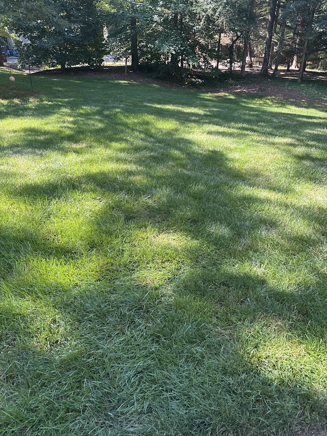 King GREEN photo 2