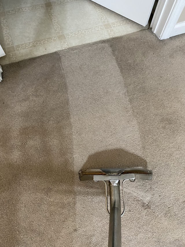 Kings Carpet & Upholstery Steam Cleaning photo 3