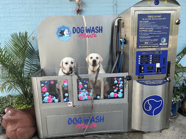 Kirkwood Car Wash & Dog Wash Atlanta photo 2