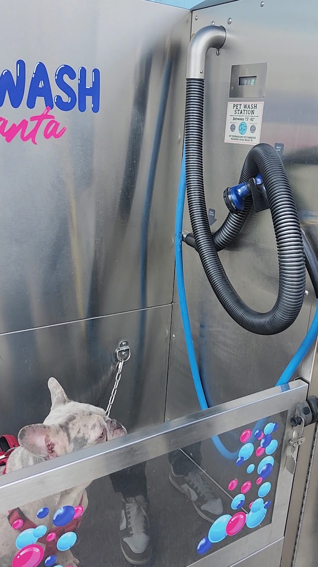 Kirkwood Car Wash & Dog Wash Atlanta photo 3