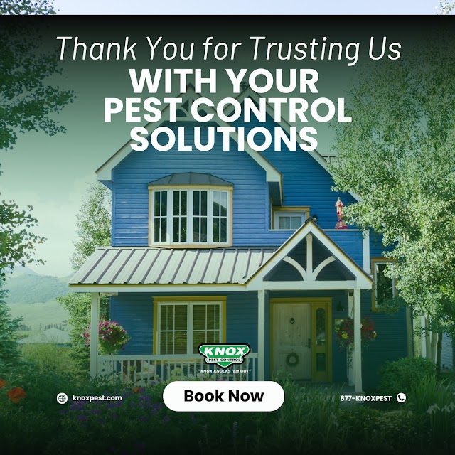 Knox Pest Control - Auburn photo 2