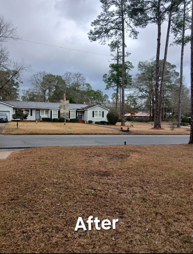 Kw & Fry Tree Service photo 2