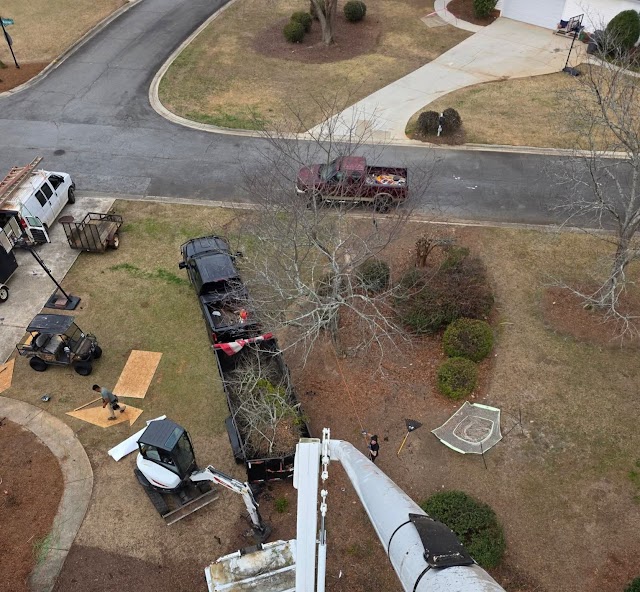 Lake Joy Tree Removal