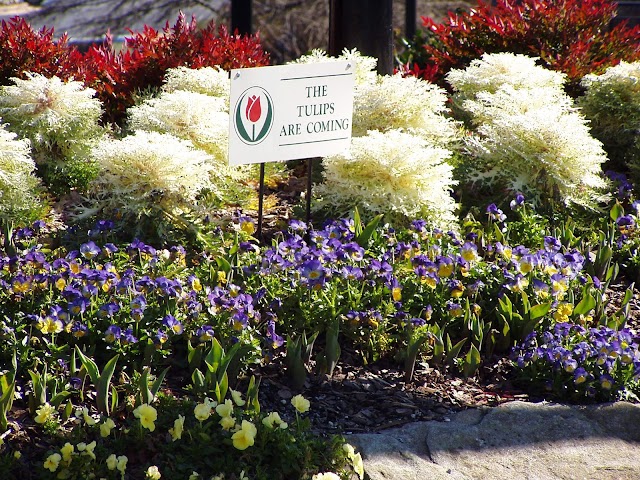 Lakewood Landscape Group