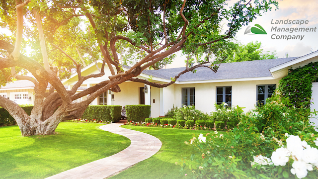 Landscape Management Company