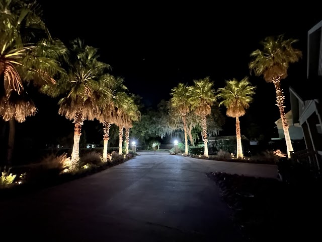Lane Irrigation & Landscape Lighting photo 2
