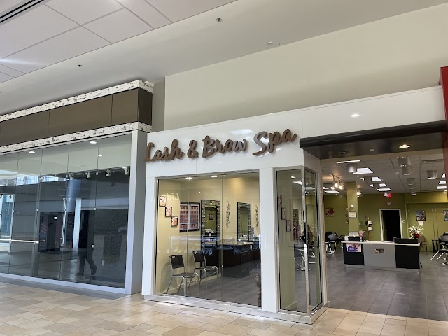 Lash and Brow Spa photo 2