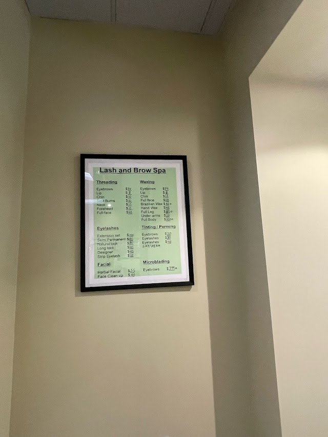 Lash and Brow Spa photo 4