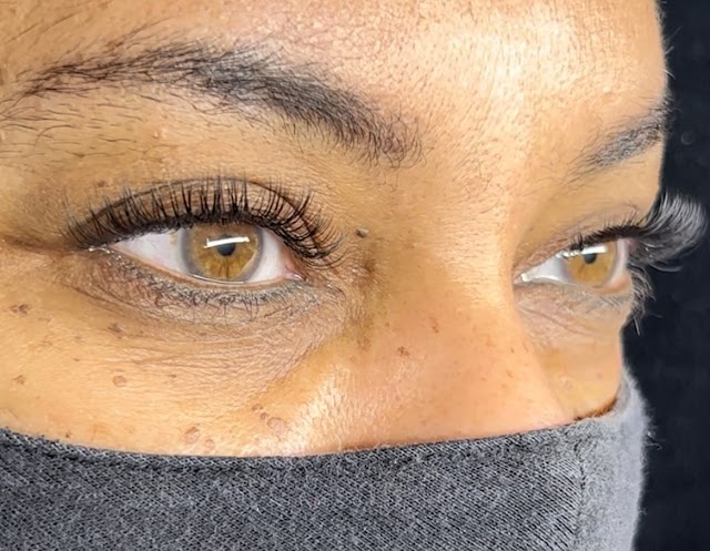 Lash Artsy