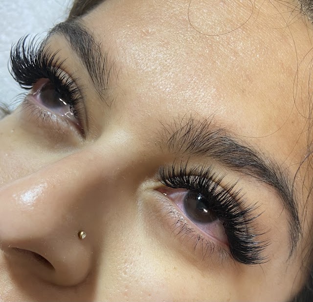 Lash Box photo 4