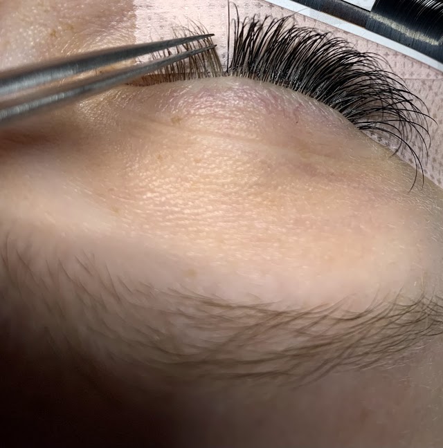 Lash Theory By Randi Avril