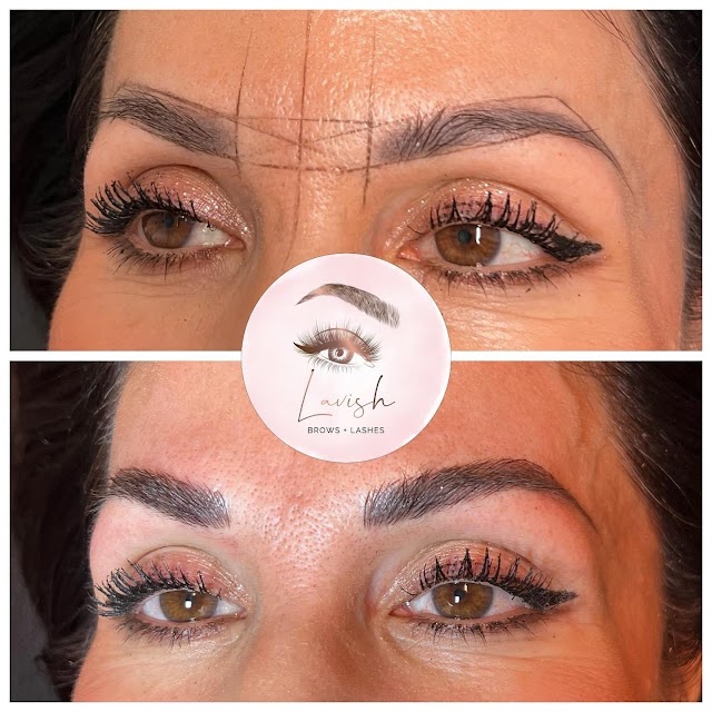 Lavish Brows & Lashes