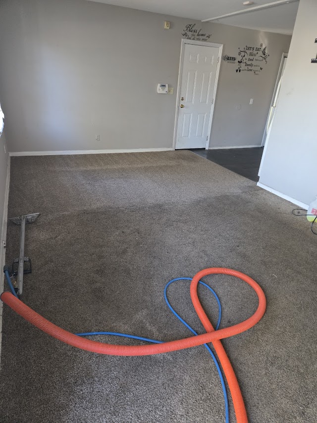 Lawlor Carpet Cleaning