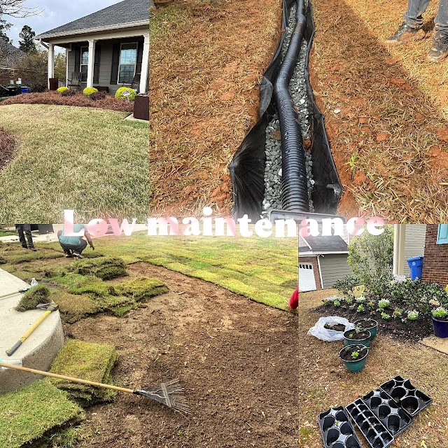 Lawn Care 365 LLC photo 3